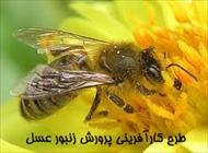دانلود طرح توجیهی زنبورداری - طرح توجیهی پرورش زنبور عسل سال 95